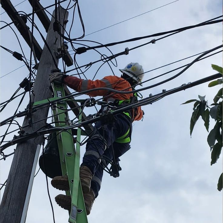 Energía Eléctrica